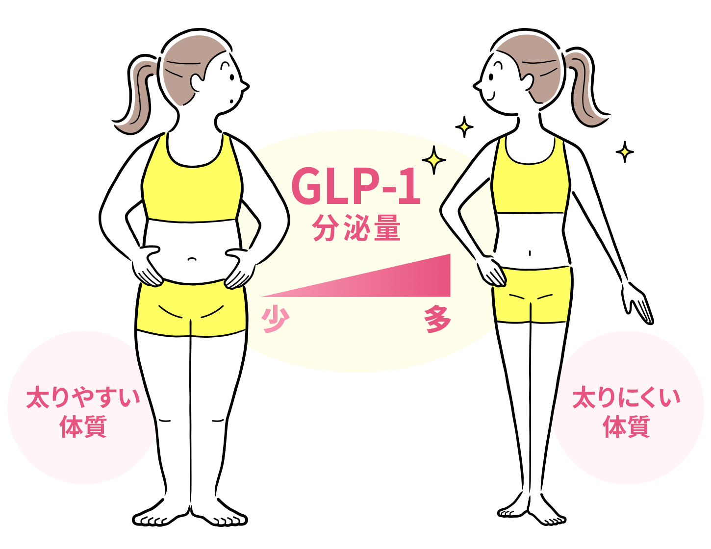 GLP-1分泌量の違いのイメージ