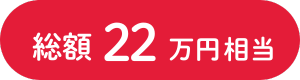 総額22万円相当