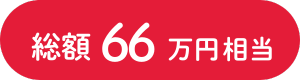 総額66万円相当