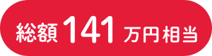 総額113万円相当