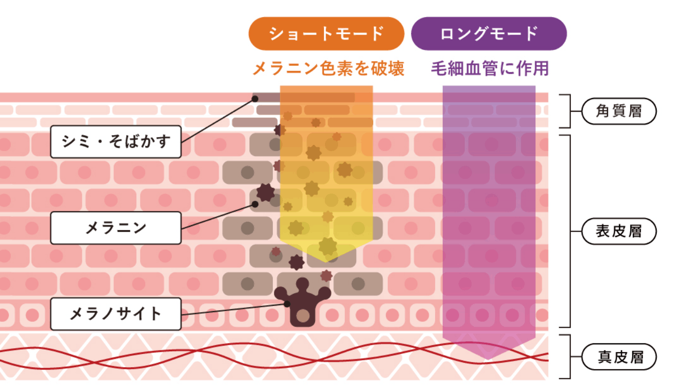 ルメッカの圧倒的な効果