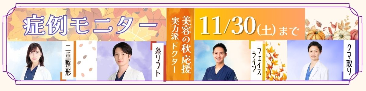 11月モニター