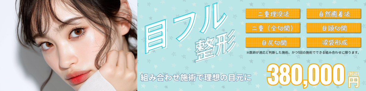 目フル整形